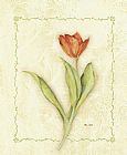 Red Tulip by Cheri Blum